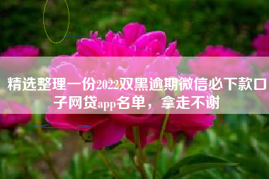 精选整理一份2022双黑逾期微信必下款口子网贷app名单，拿走不谢