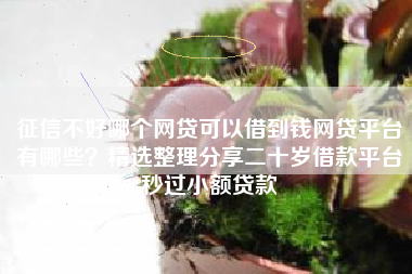 征信不好哪个网贷可以借到钱网贷平台有哪些？精选整理分享二十岁借款平台秒过小额贷款