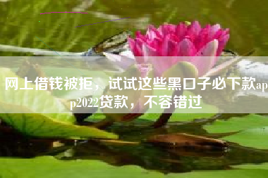 网上借钱被拒，试试这些黑口子必下款app2022贷款，不容错过