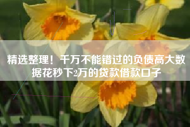 精选整理！千万不能错过的负债高大数据花秒下2万的贷款借款口子