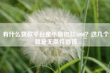 有什么贷款平台是小额借款3000？这几个就是无条件借钱