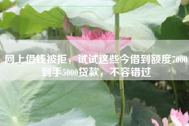 网上借钱被拒，试试这些今借到额度7000到手5000贷款，不容错过