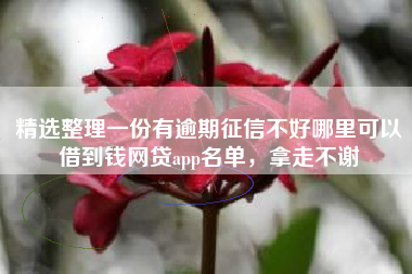 精选整理一份有逾期征信不好哪里可以借到钱网贷app名单，拿走不谢