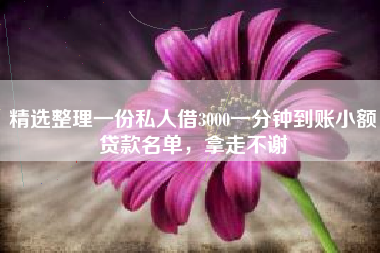 精选整理一份私人借3000一分钟到账小额贷款名单，拿走不谢