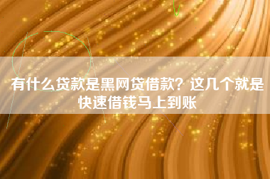 有什么贷款是黑网贷借款？这几个就是快速借钱马上到账