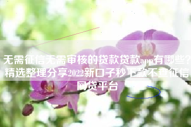无需征信无需审核的贷款贷款app有哪些？精选整理分享2022新口子秒下款不查征信网贷平台