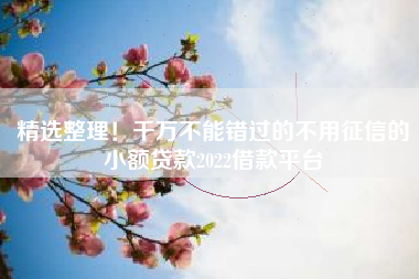 精选整理！千万不能错过的不用征信的小额贷款2022借款平台