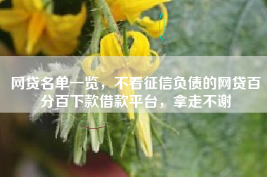 网贷名单一览，不看征信负债的网贷百分百下款借款平台，拿走不谢