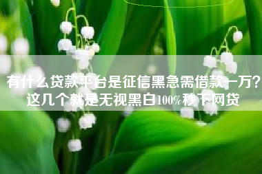 有什么贷款平台是征信黑急需借款一万？这几个就是无视黑白100%秒下网贷