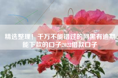 精选整理！千万不能错过的网黑有逾期能下款的口子2022借款口子