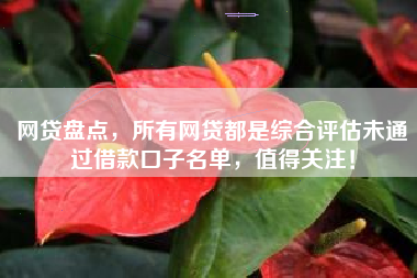 网贷盘点，所有网贷都是综合评估未通过借款口子名单，值得关注！