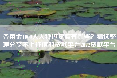 备用金1000人人秒过贷款有哪些？精选整理分享不上征信的贷款平台2022贷款平台