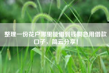 整理一份花户哪里能借到钱啊急用借款口子，简云分享！