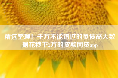 精选整理！千万不能错过的负债高大数据花秒下2万的贷款网贷app