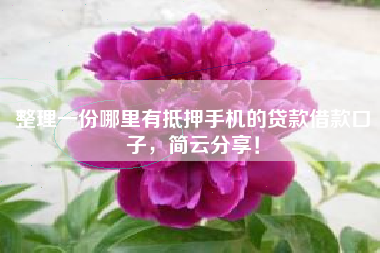 整理一份哪里有抵押手机的贷款借款口子，简云分享！