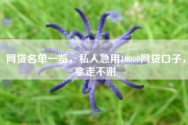 网贷名单一览，私人急用10000网贷口子，拿走不谢