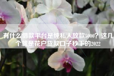 有什么借款平台是纯私人放款5000？这几个就是花户贷款口子秒下的2022