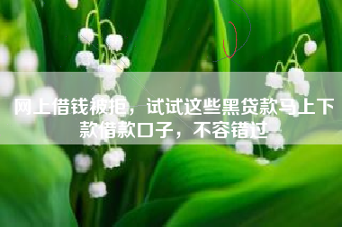 网上借钱被拒，试试这些黑贷款马上下款借款口子，不容错过
