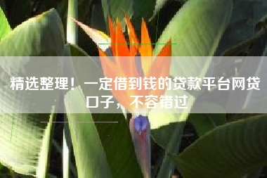 精选整理！一定借到钱的贷款平台网贷口子，不容错过