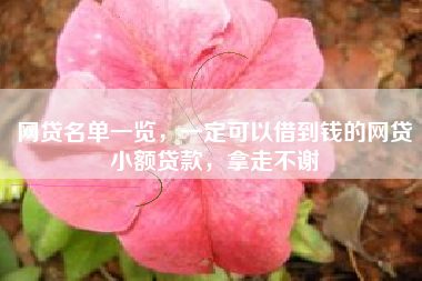 网贷名单一览，一定可以借到钱的网贷小额贷款，拿走不谢