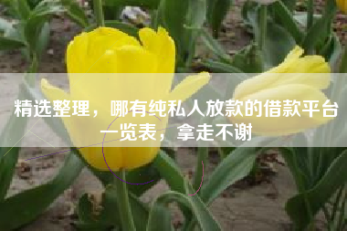 精选整理，哪有纯私人放款的借款平台一览表，拿走不谢