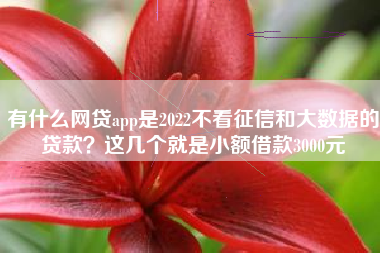 有什么网贷app是2022不看征信和大数据的贷款？这几个就是小额借款3000元