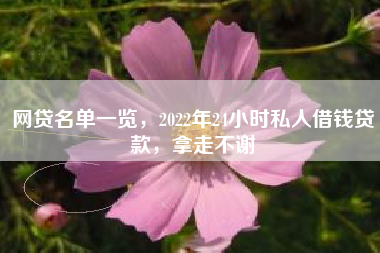 网贷名单一览，2022年24小时私人借钱贷款，拿走不谢