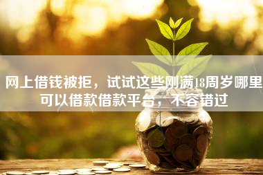 网上借钱被拒，试试这些刚满18周岁哪里可以借款借款平台，不容错过