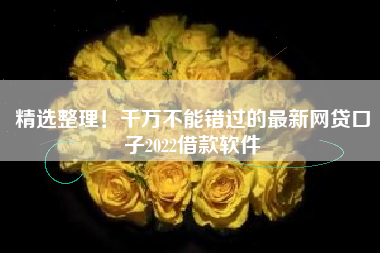 精选整理！千万不能错过的最新网贷口子2022借款软件