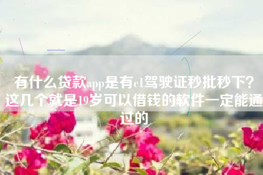 有什么贷款app是有c1驾驶证秒批秒下？这几个就是19岁可以借钱的软件一定能通过的