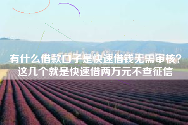 有什么借款口子是快速借钱无需审核？这几个就是快速借两万元不查征信