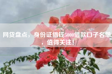 网贷盘点，身份证借钱5000借款口子名单，值得关注！