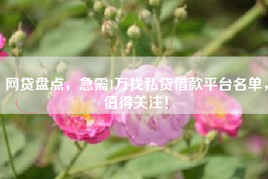 网贷盘点，急需1万找私贷借款平台名单，值得关注！