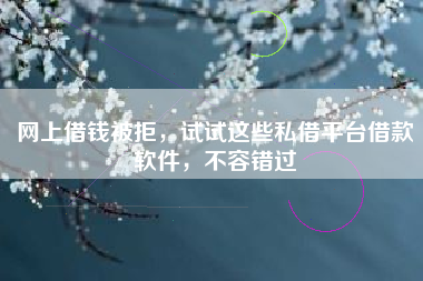 网上借钱被拒，试试这些私借平台借款软件，不容错过