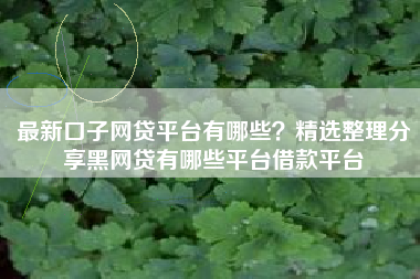 最新口子网贷平台有哪些？精选整理分享黑网贷有哪些平台借款平台