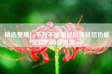 精选整理！千万不能错过的黑征信也能贷款的网贷网贷app