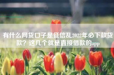 有什么网贷口子是征信乱2022年必下款贷款？这几个就是直接借款的app