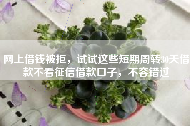 网上借钱被拒，试试这些短期周转30天借款不看征信借款口子，不容错过
