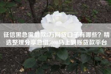 征信黑急需借款5万网贷口子有哪些？精选整理分享急借5000马上到账贷款平台