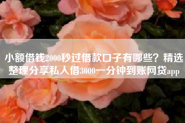 小额借钱2000秒过借款口子有哪些？精选整理分享私人借3000一分钟到账网贷app