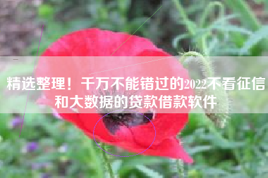 精选整理！千万不能错过的2022不看征信和大数据的贷款借款软件