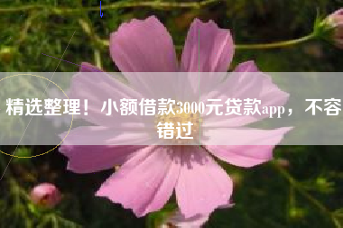 精选整理！小额借款3000元贷款app，不容错过