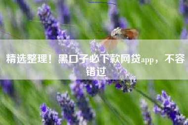精选整理！黑口子必下款网贷app，不容错过