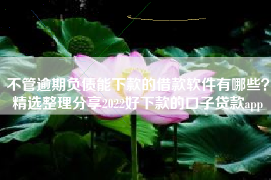 不管逾期负债能下款的借款软件有哪些？精选整理分享2022好下款的口子贷款app
