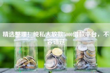 精选整理！纯私人放款5000借款平台，不容错过