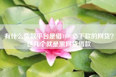 有什么贷款平台是借1000必下款的网贷？这几个就是黑网贷借款