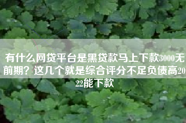 有什么网贷平台是黑贷款马上下款3000无前期？这几个就是综合评分不足负债高2022能下款