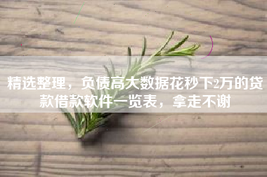 精选整理，负债高大数据花秒下2万的贷款借款软件一览表，拿走不谢