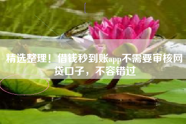 精选整理！借钱秒到账app不需要审核网贷口子，不容错过