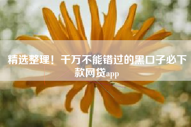 精选整理！千万不能错过的黑口子必下款网贷app